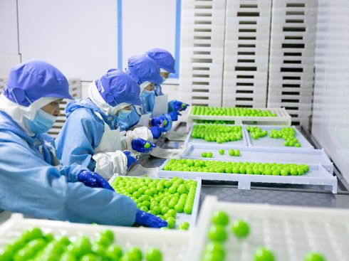 Provide you with hot candy R&D, production and supply services