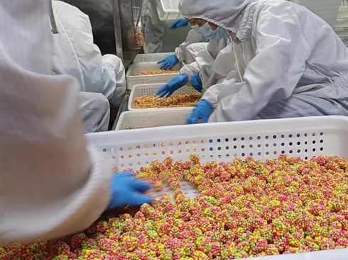 Leading Candy Manufacturer with 20+ years of experience, offering high-quality wholesale & OEM services