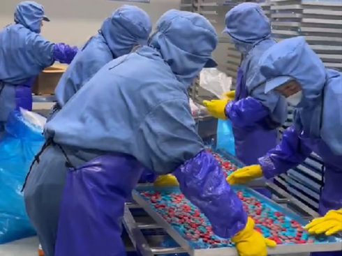 Freeze-dried candy: long shelf life, reduced losses, and increased profit margins!